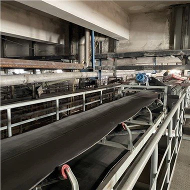 Transportador de correia